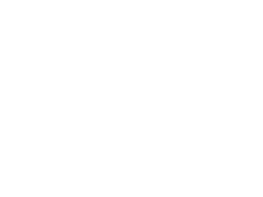 Concha Y Toro