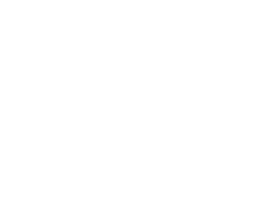 Lean Institute